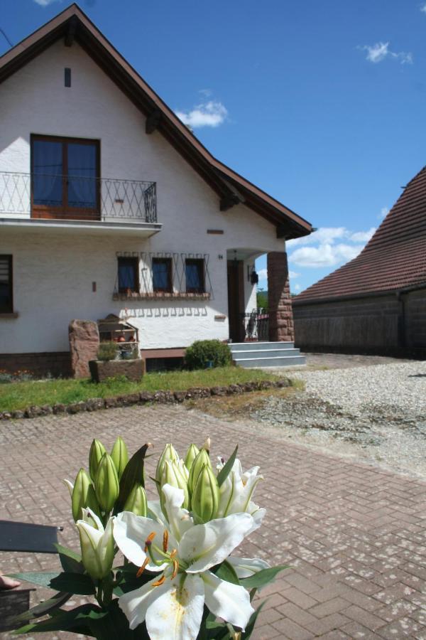 La Maison De Tania Neuve-Eglise Экстерьер фото